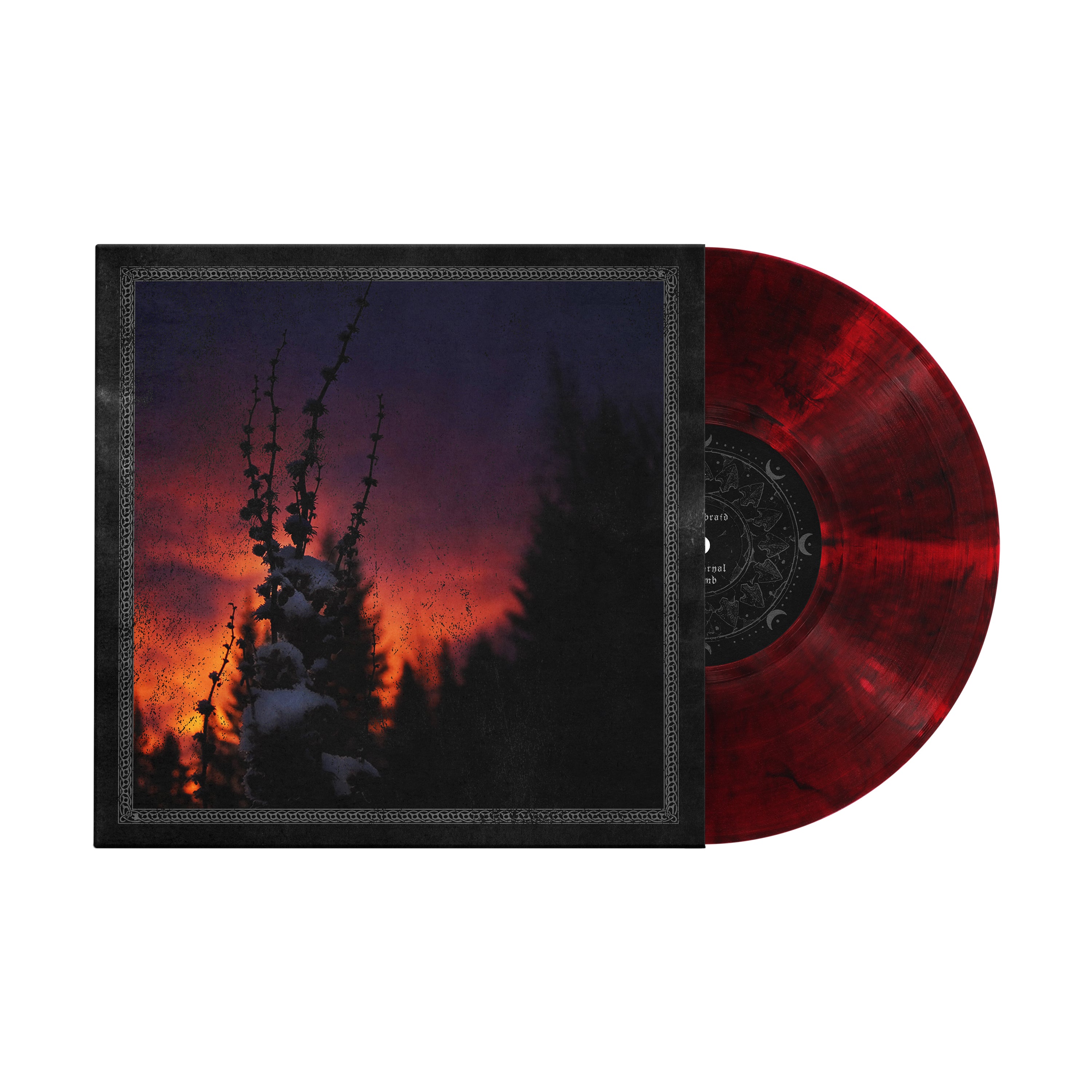 Nocturnal Womb: 