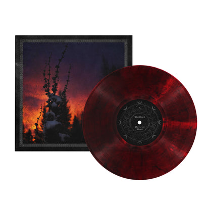 Nocturnal Womb Bundle